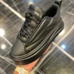 ونس برشکا لژدار